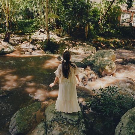 เดอะริเวอร์ แม่กำปอง The River Maekampong Chiang Mai Ban Pok Nai Exterior photo