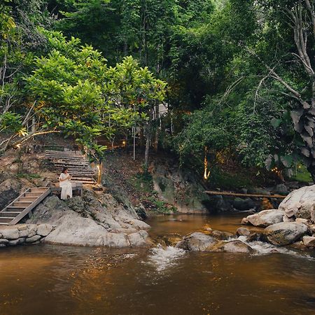 เดอะริเวอร์ แม่กำปอง The River Maekampong Chiang Mai Ban Pok Nai Exterior photo
